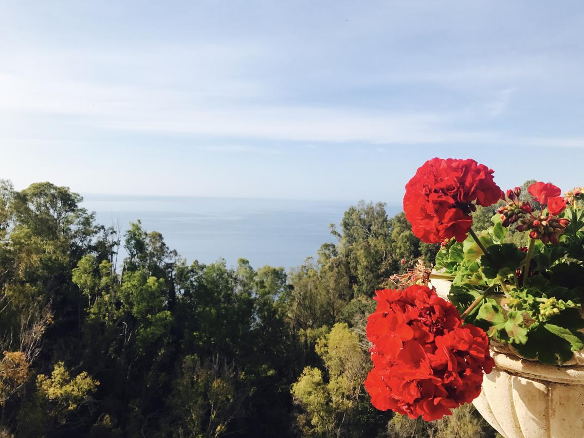 Hotel Villa Riis Taormina Kültér fotó